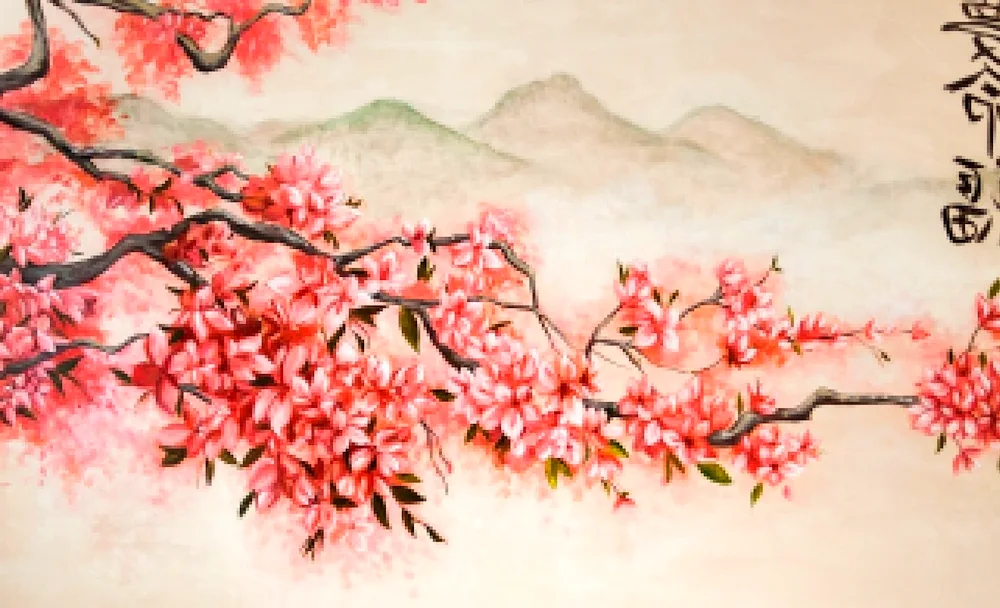 Sakura drawing