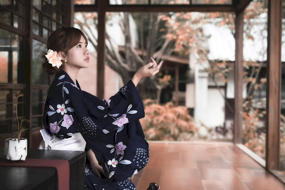Japan kimono aesthetics