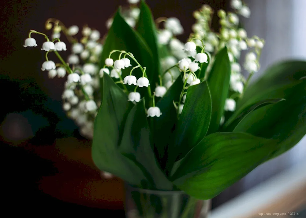 Wedding bouquet Lily of May