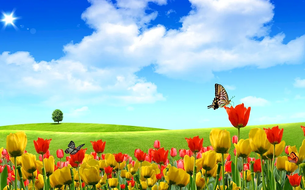 Vibrant nature