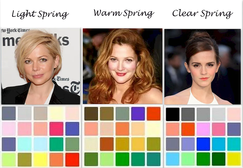 Dark winter colour type appearance palette