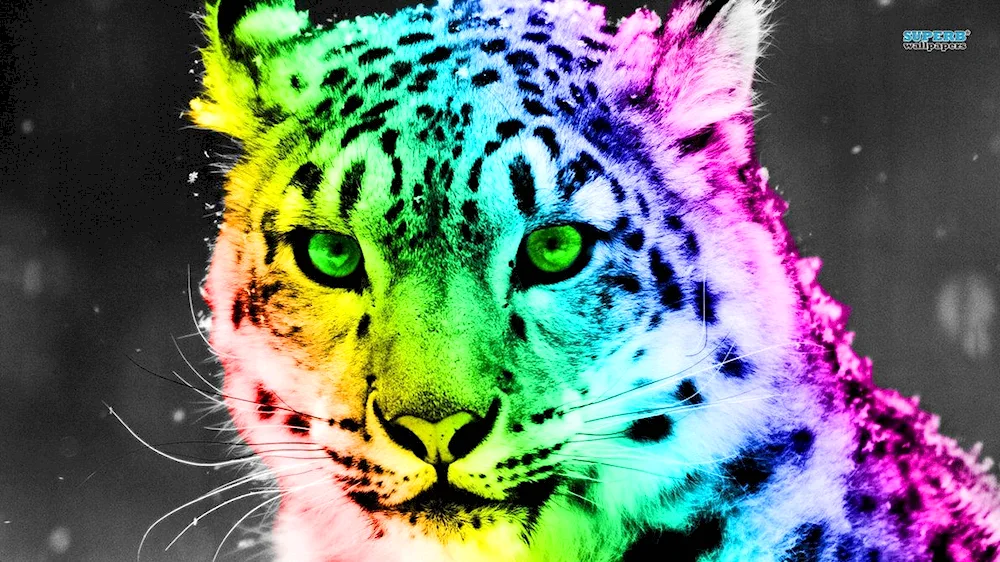 Bright wallpaper pictures