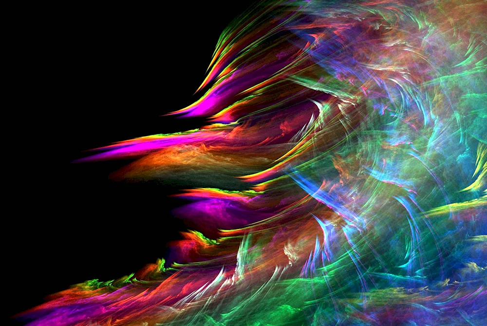 Rainbow parrots parakeets