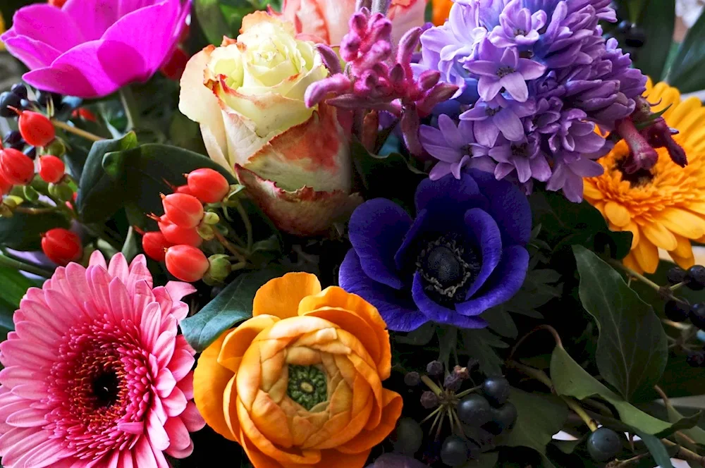 Vibrant flowers