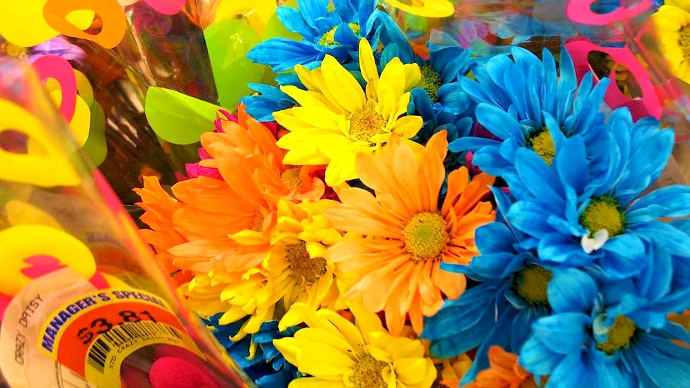 Vibrant flowers