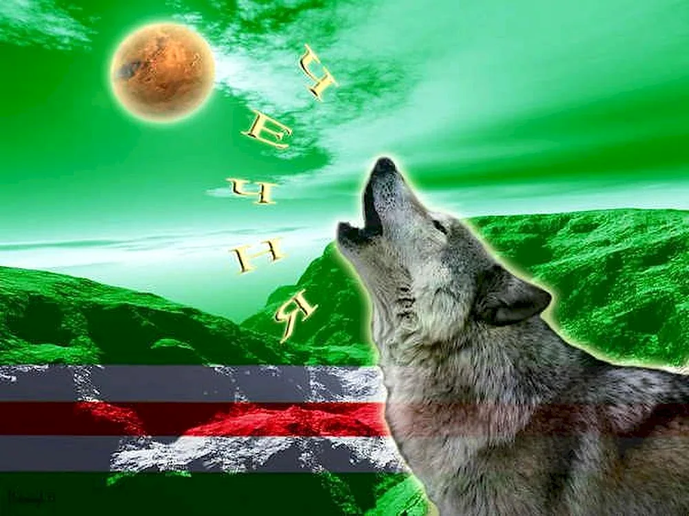 Ichkeria wolf Chechnya