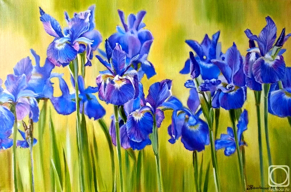 Iris Ann Mortimer