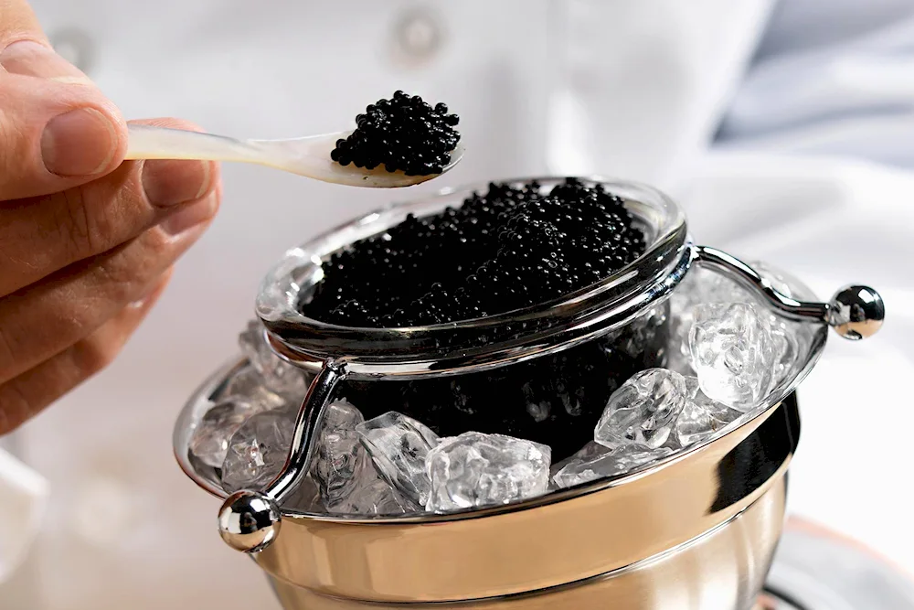 Black caviar of sturgeon