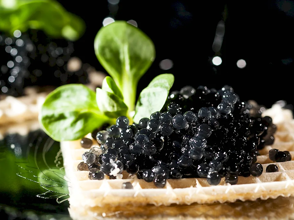 Black caviar