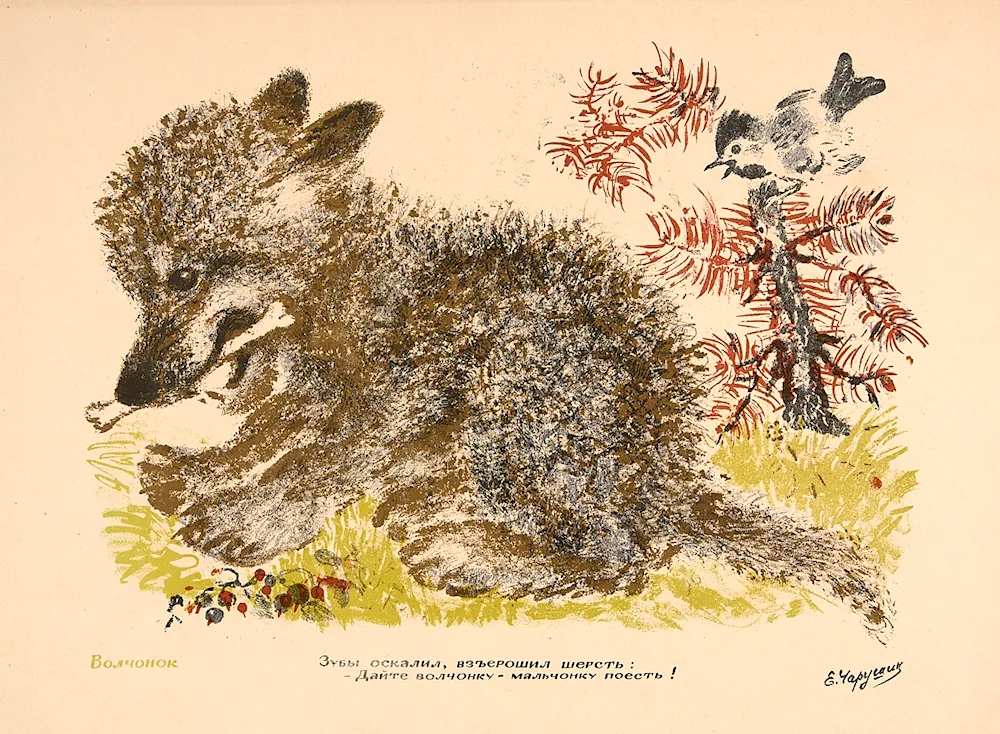 Illustrations for books by Charushin
