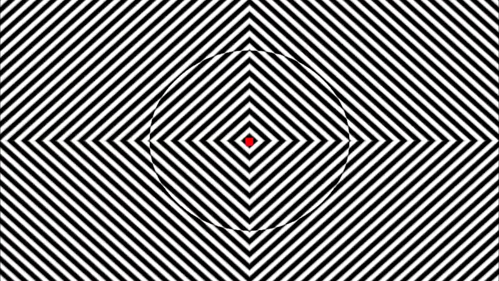 Motion Illusion