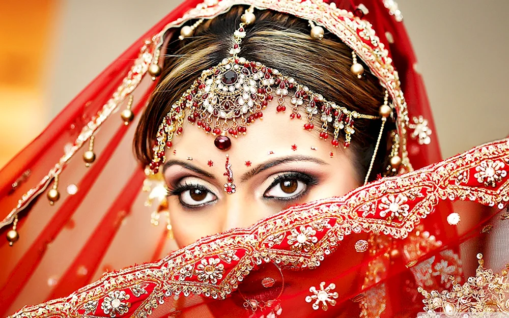 Indian bride wedding sari