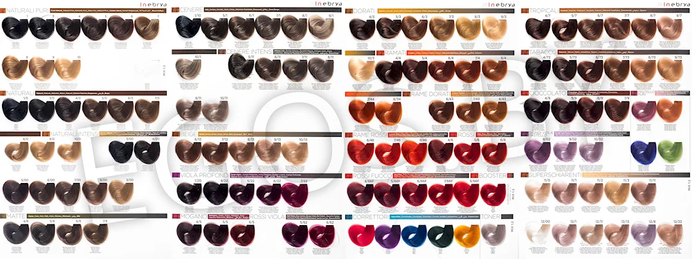 INEBRYA dye palette