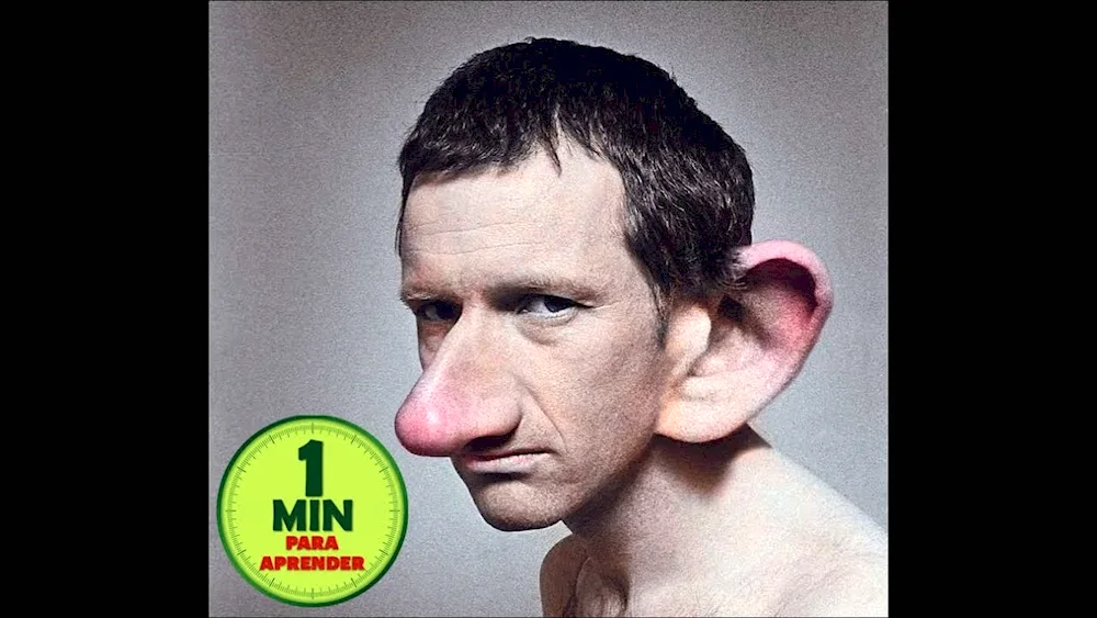 Yohan schnozzle