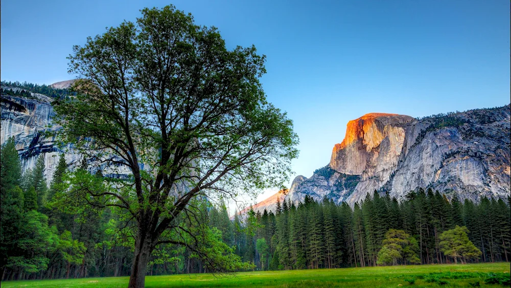 Yosemite National Park