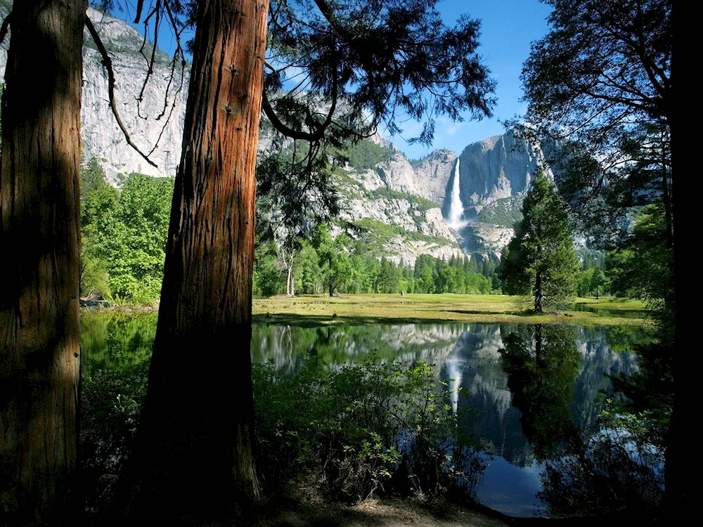 Yosemite National Park water barrel