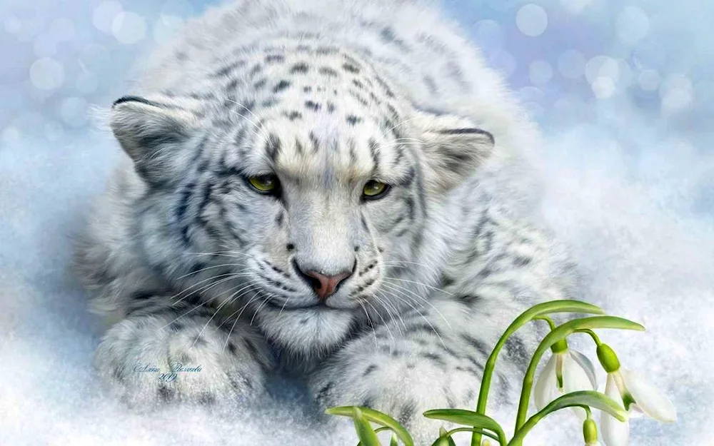 Snow Leopard Irbis wallpaper