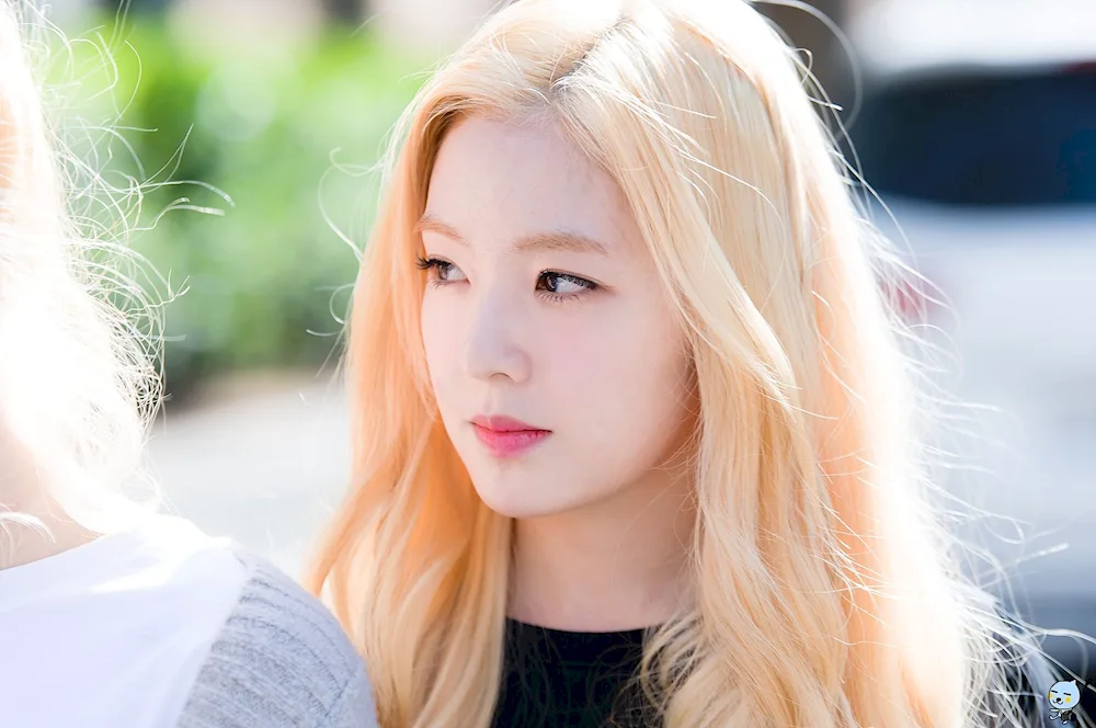 Irene Red Velvet