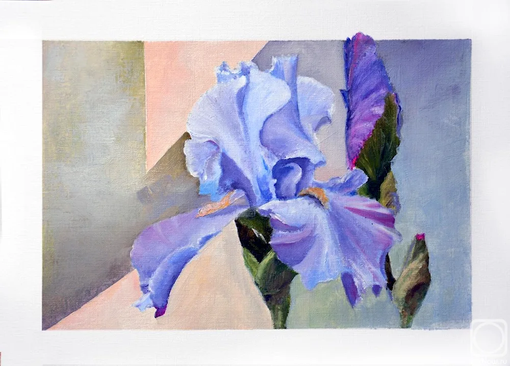 Elizabeth Horning irises
