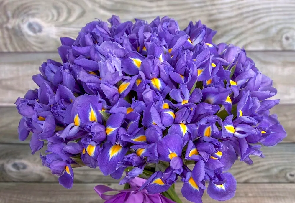 Pale blue blue irises bouquet