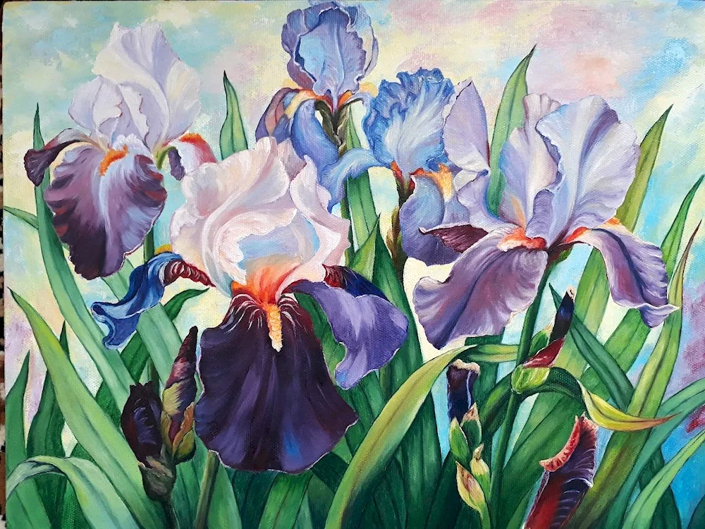 David Manakian irises