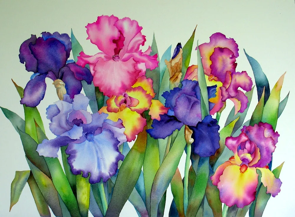 Renoir irises