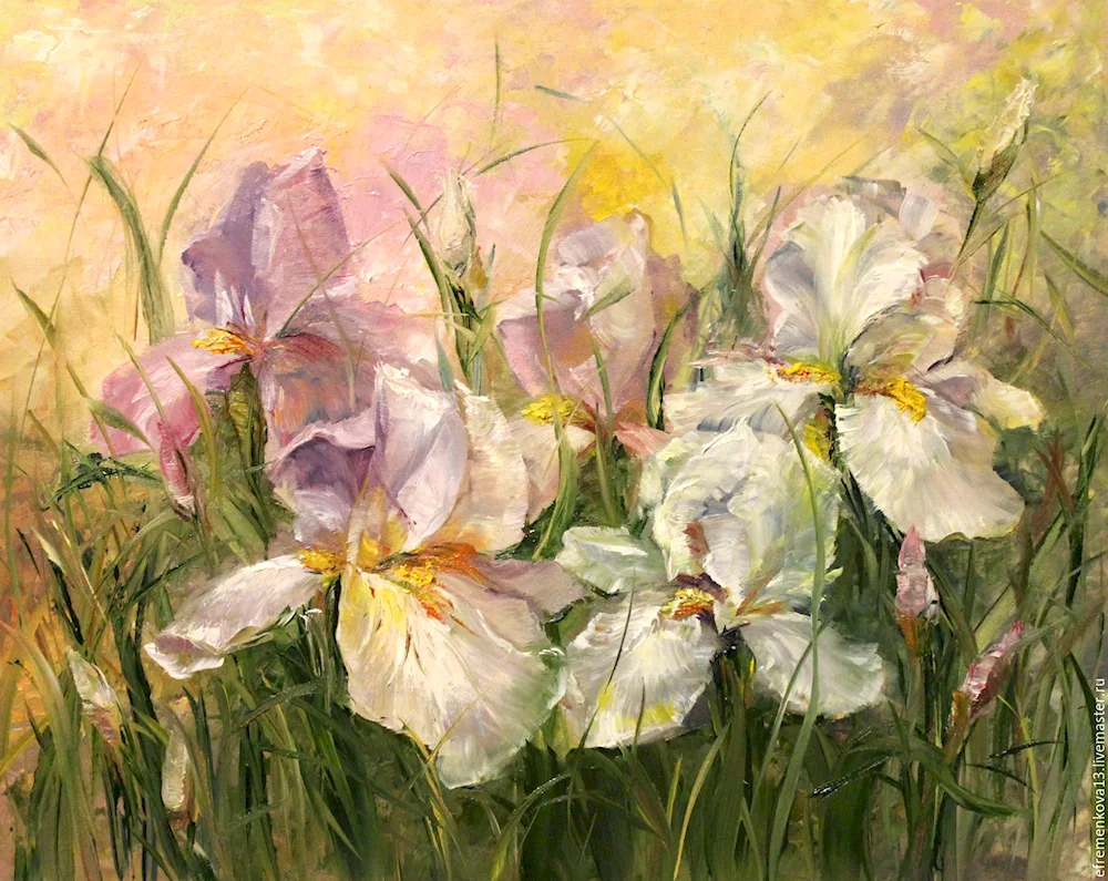Alberto Guillen irises