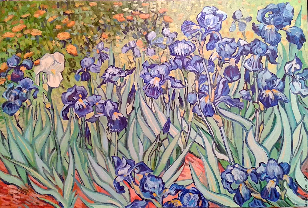 Elizabeth Horning irises