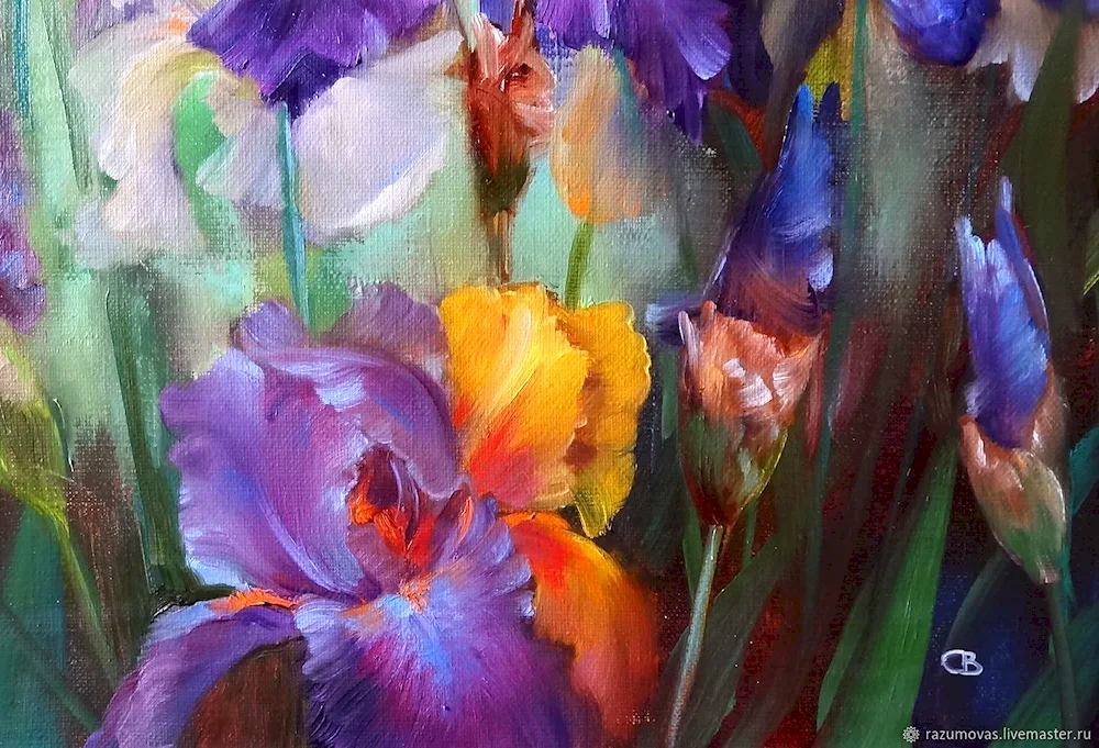 Daryl Trott irises