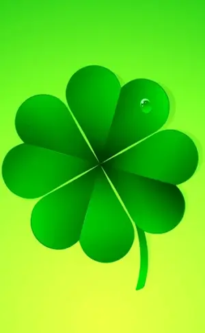 Irish four-leaf clover