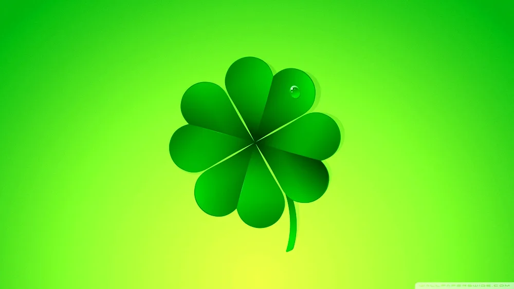 Irish four-leaf clover