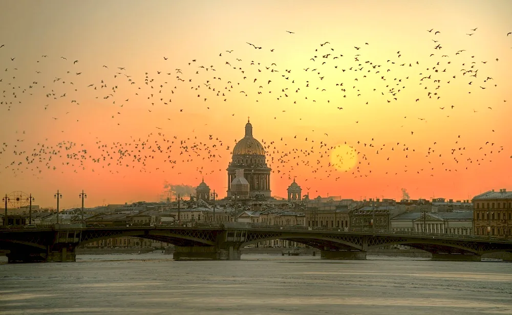 Isaac Cathedral at dawn