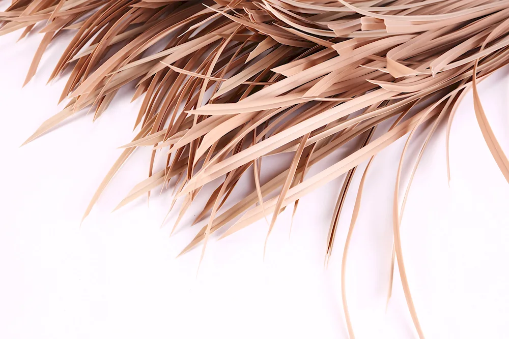 Hay texture