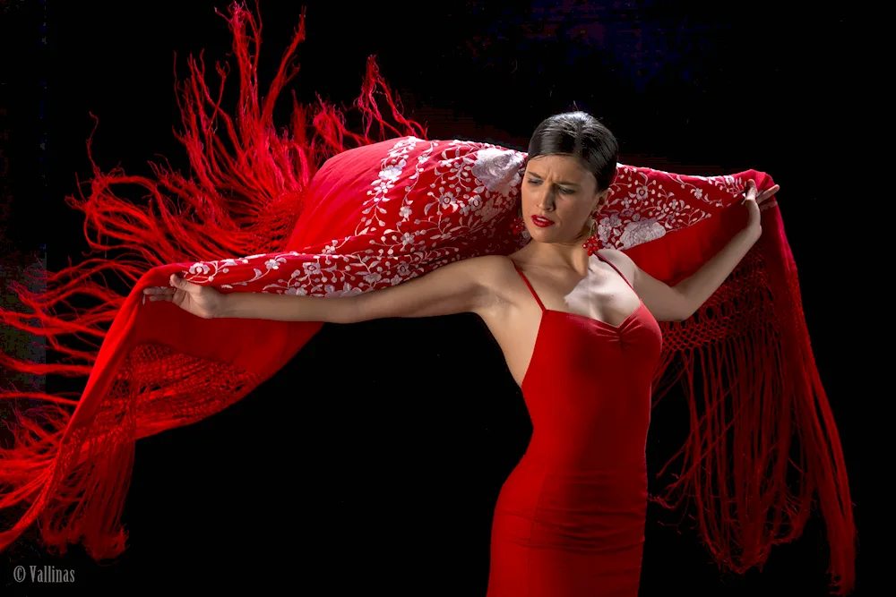 Lucia Albaycin flamenco dancer