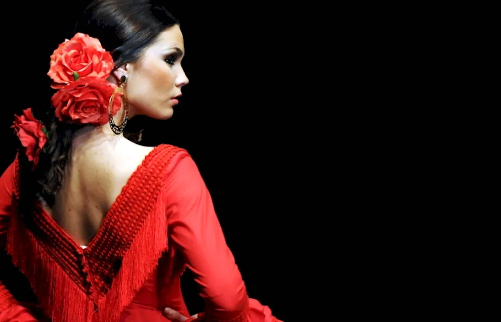 Spanish flamenco dance