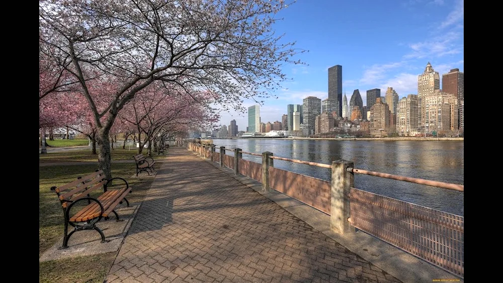 East River Park New York