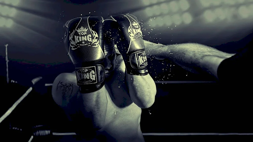 UFC Everlast