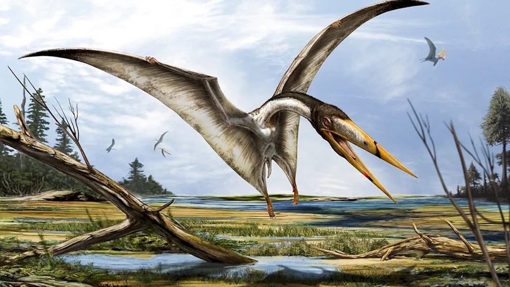 Jurassic Period pterodactyl