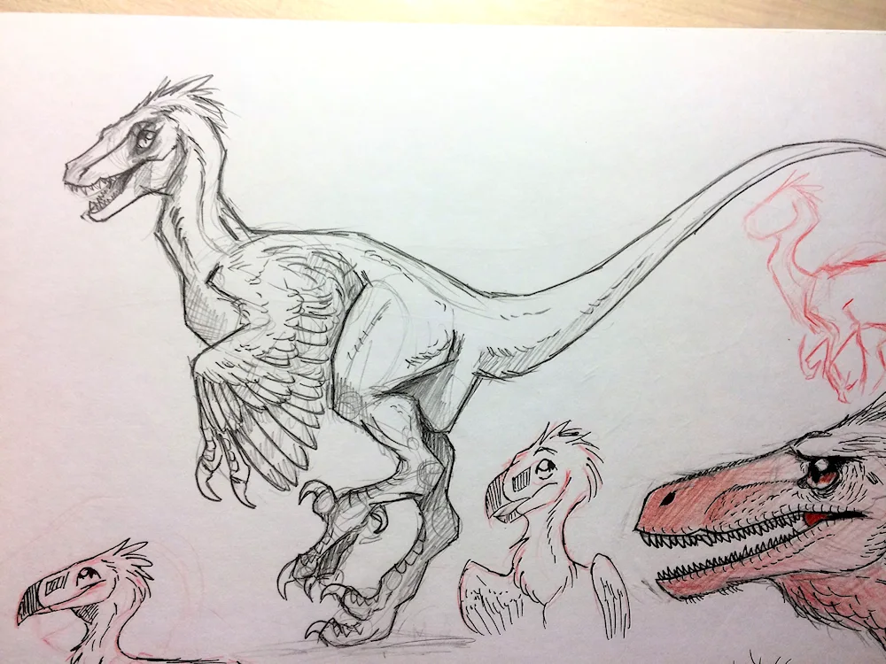 Tyrannosaurus and Diplodocus