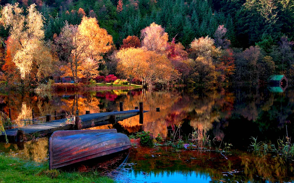 Oakwood Park Autumn Bridge