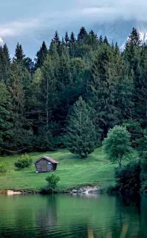 Southern Black Forest Lake