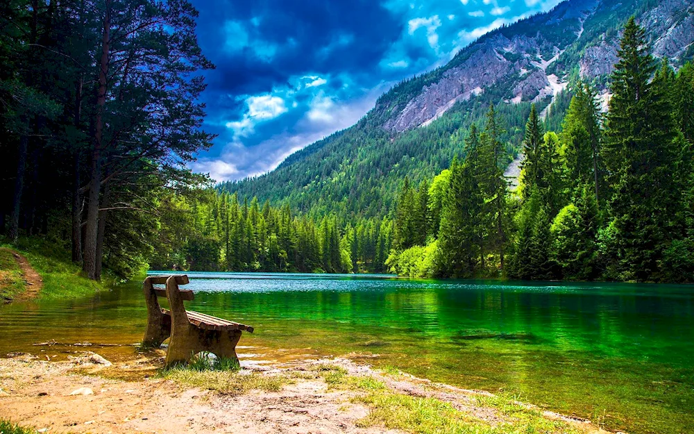 Southern Black Forest Lake