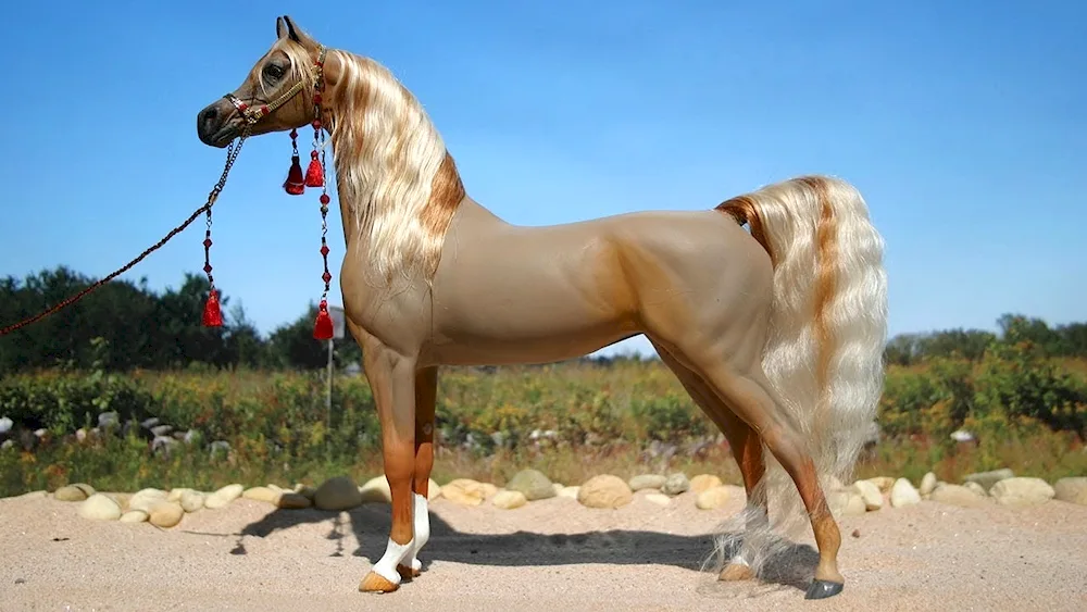 Arabian racehorse