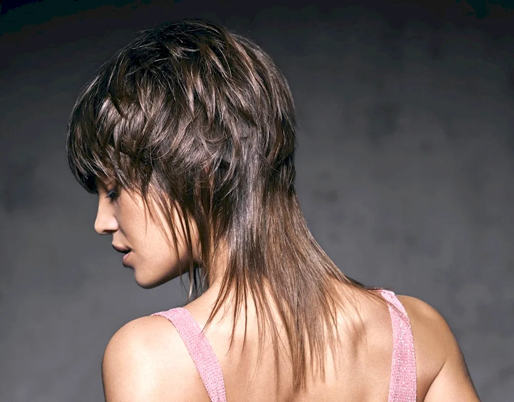 Jean Louis David haircuts