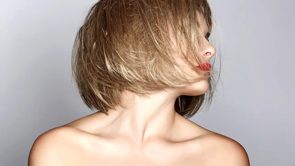 Jean Louis David haircuts