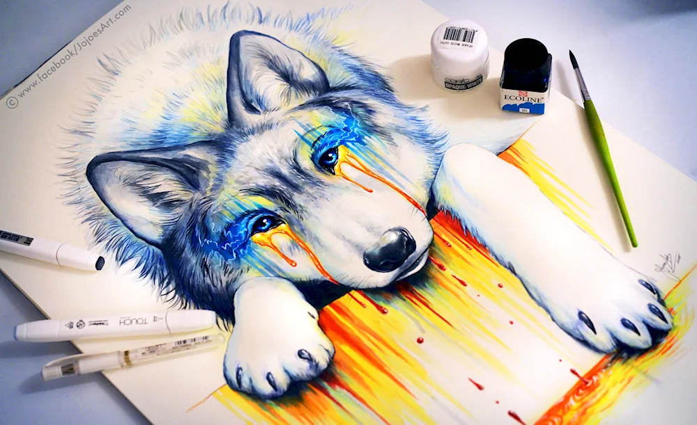 Wolf drawing