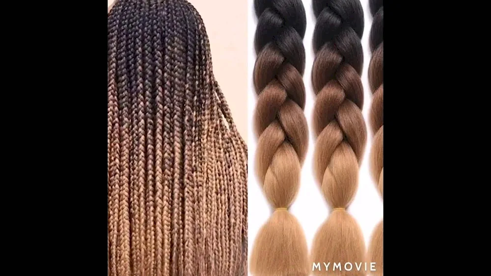 Zizi braids dreadlocks kanekalon