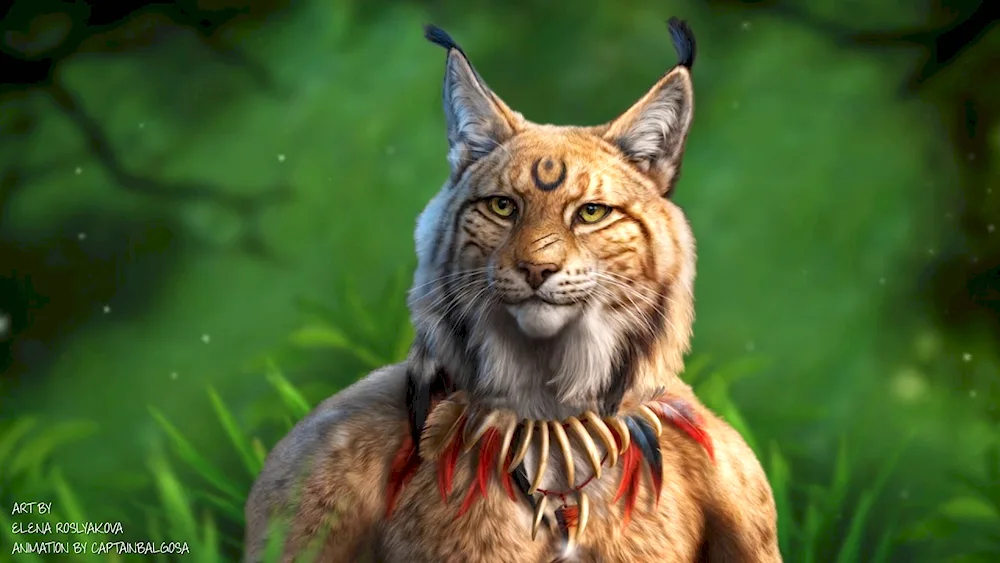 Kajit lynx