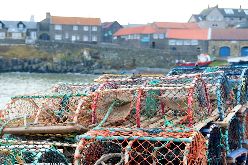 Fishing Net