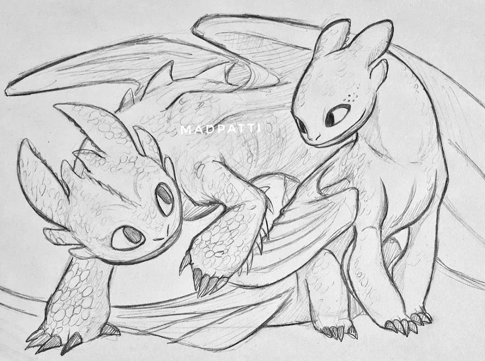 How to tame dragon Toothless to draw